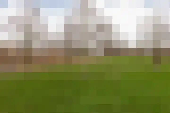 De Terpen 9 Bolsward thumbnail 42