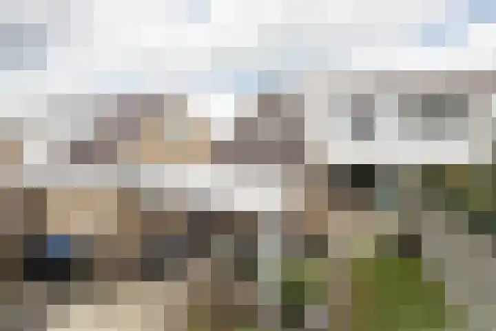 De Terpen 9 Bolsward thumbnail 43