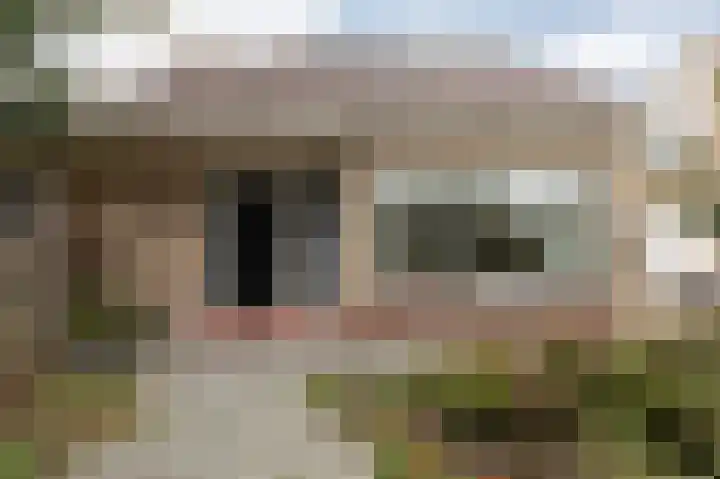 De Terpen 9 Bolsward thumbnail 5