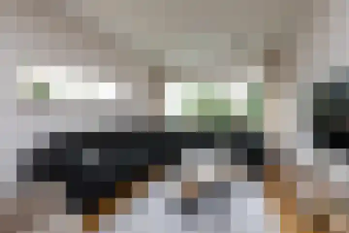 De Terpen 9 Bolsward thumbnail 8