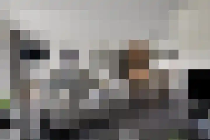 De Teuge 43 Zutphen thumbnail 14