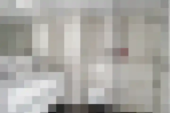 De Teuge 43 Zutphen thumbnail 25