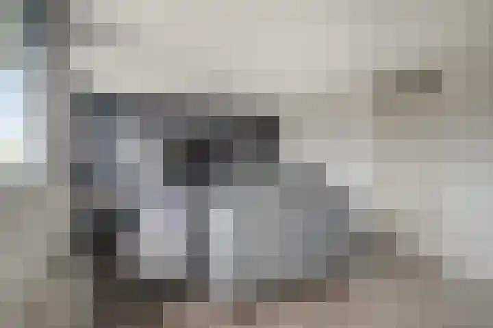De Teuge 43 Zutphen thumbnail 28