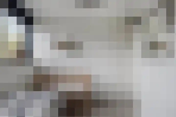 De Teuge 43 Zutphen thumbnail 31