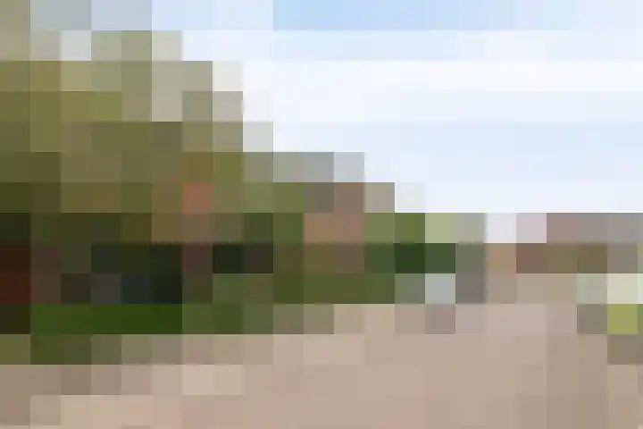 De Teuge 43 Zutphen thumbnail 39
