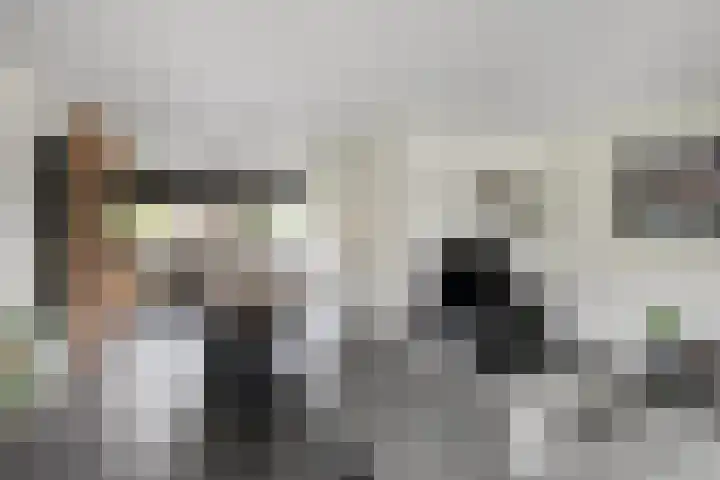 De Teuge 43 Zutphen thumbnail 5