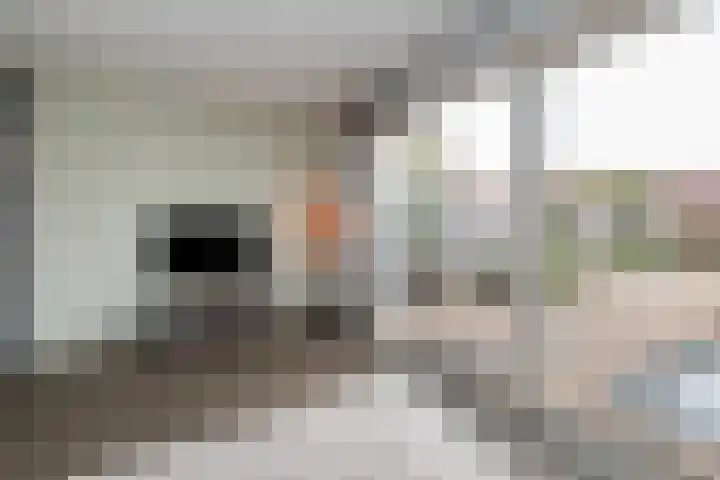 De Teugel 1 Biddinghuizen thumbnail 12