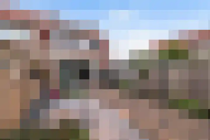 De Teugel 1 Biddinghuizen thumbnail 21