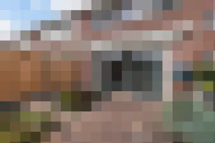 De Teugel 1 Biddinghuizen thumbnail 22