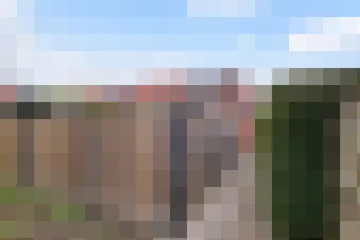De Teugel 1 Biddinghuizen thumbnail 25