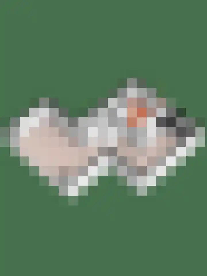 De Teugel 1 Biddinghuizen thumbnail 33