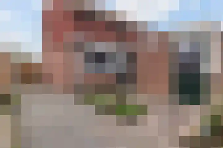 De Teugel 1 Biddinghuizen thumbnail 6