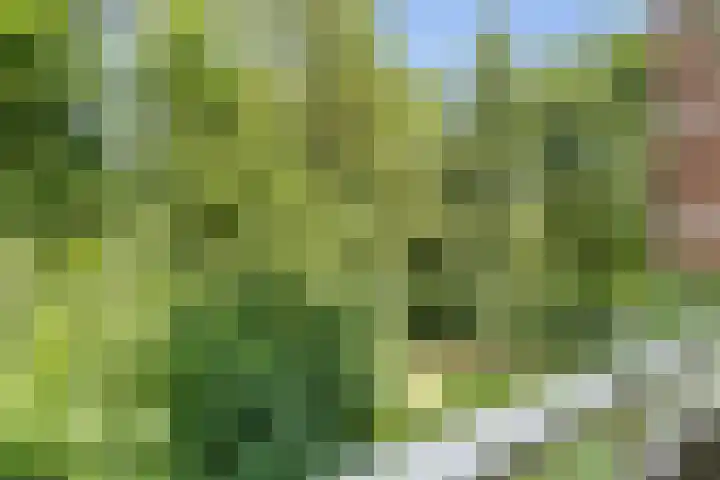 De Tichel 128 Heerlen thumbnail 19
