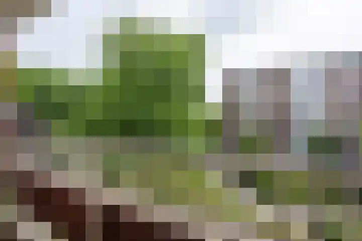De Tichel 142 Heerlen thumbnail 14