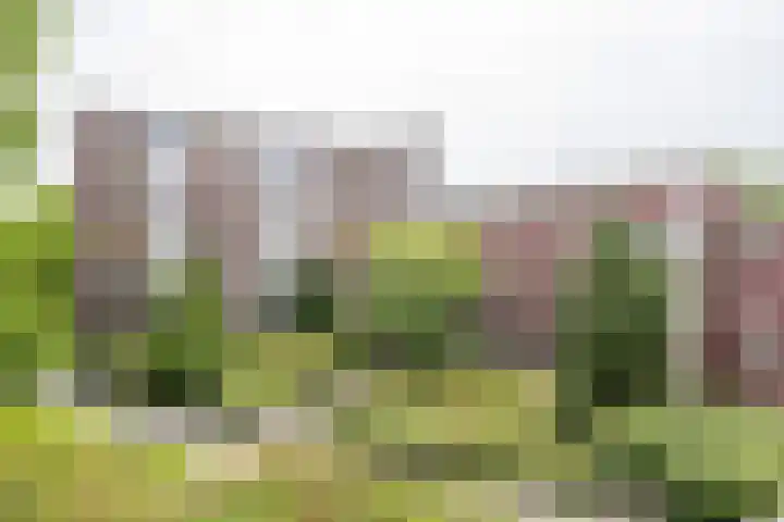 De Tichel 142 Heerlen thumbnail 15