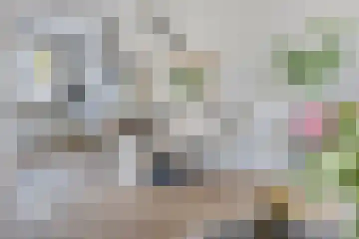 De Tiend 55 Haaren thumbnail 11