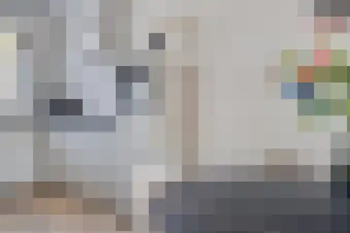 De Tiend 55 Haaren thumbnail 12