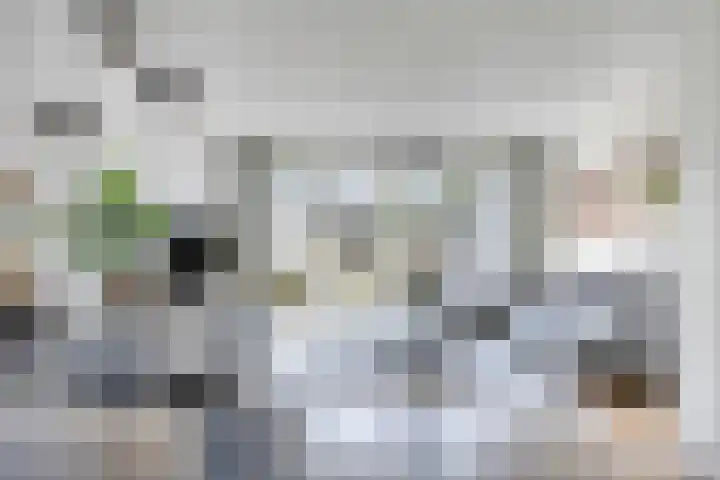 De Tiend 55 Haaren thumbnail 13