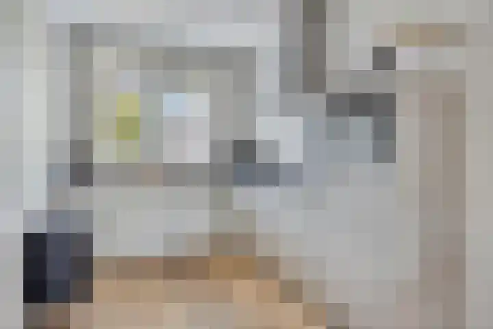 De Tiend 55 Haaren thumbnail 14