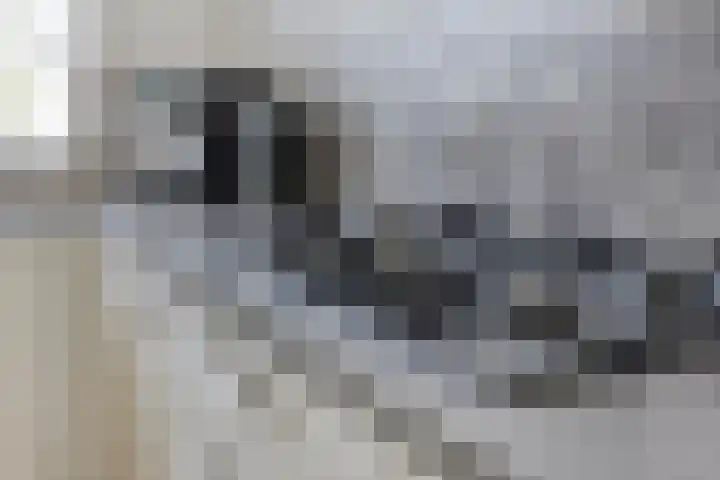 De Tiend 55 Haaren thumbnail 15
