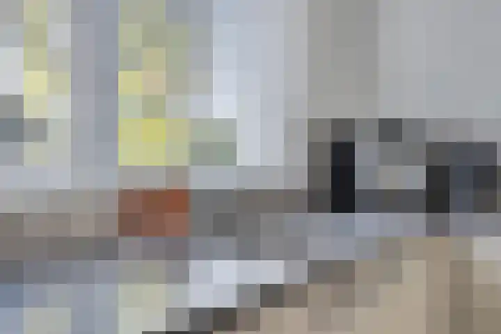 De Tiend 55 Haaren thumbnail 16