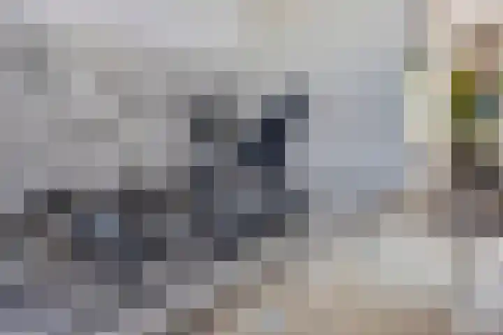 De Tiend 55 Haaren thumbnail 17