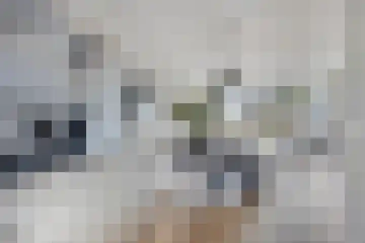 De Tiend 55 Haaren thumbnail 18