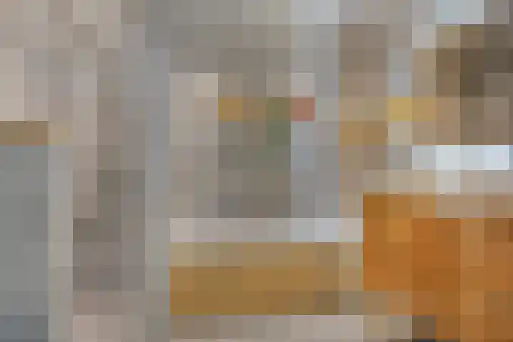 De Tiend 55 Haaren thumbnail 24