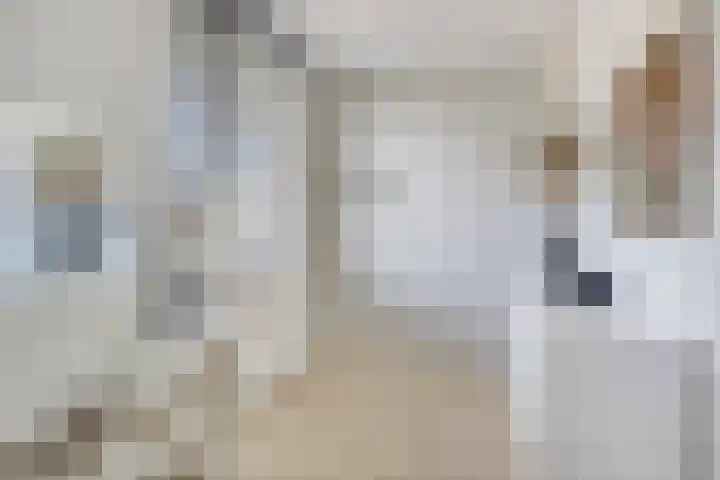De Tiend 55 Haaren thumbnail 29