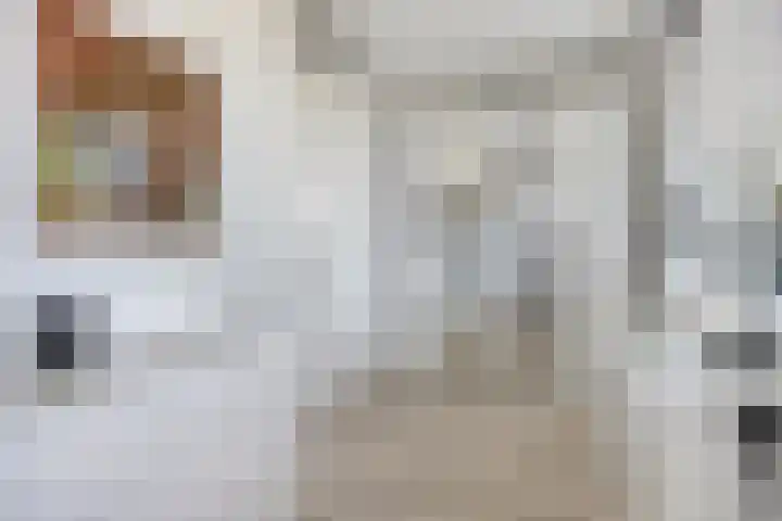 De Tiend 55 Haaren thumbnail 30