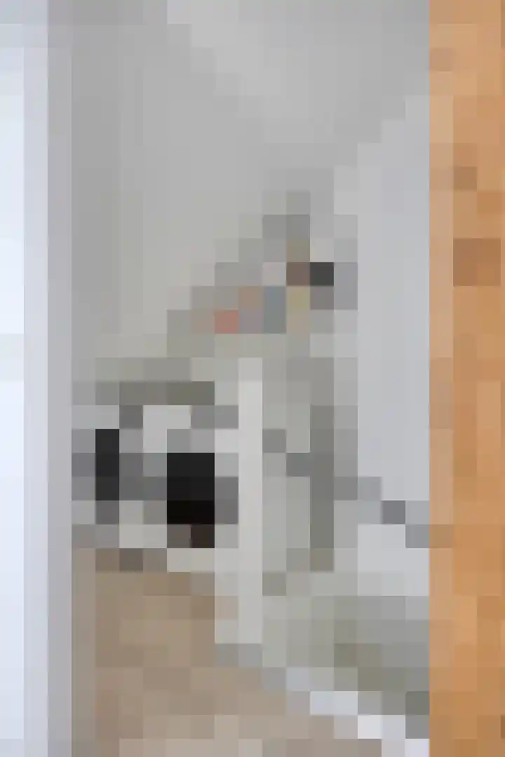 De Tiend 55 Haaren thumbnail 33