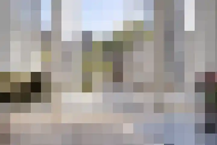 De Tiend 55 Haaren thumbnail 36
