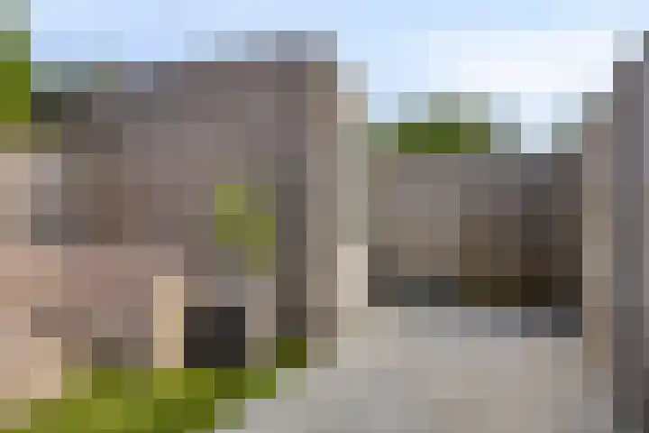 De Tiend 55 Haaren thumbnail 38