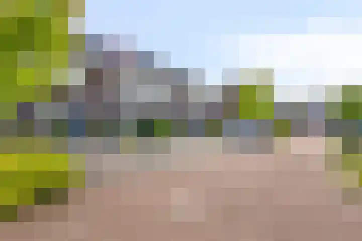 De Tiend 55 Haaren thumbnail 4