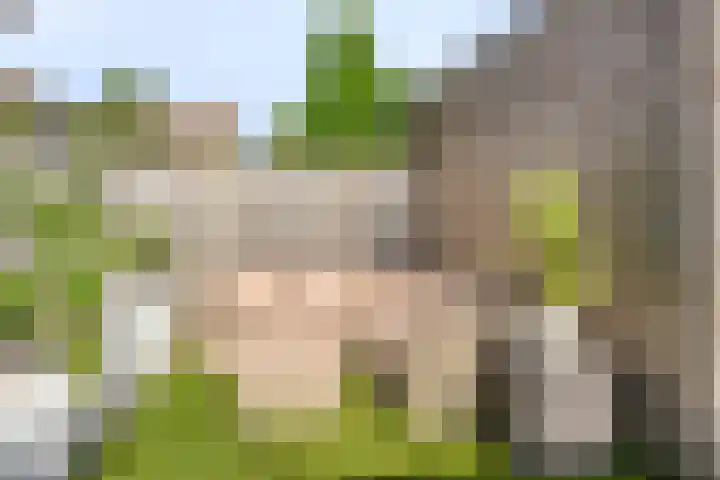 De Tiend 55 Haaren thumbnail 40