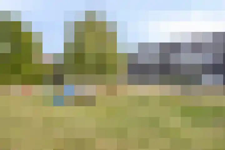 De Tiend 55 Haaren thumbnail 45