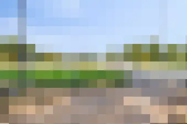 De Tiend 55 Haaren thumbnail 46