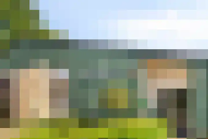 De Tiend 55 Haaren thumbnail 47