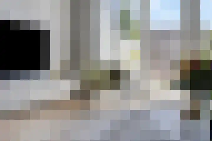 De Tiend 55 Haaren thumbnail 7