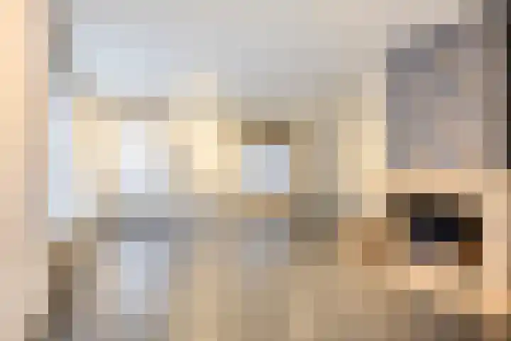 de Tijnagel 10 Alphen thumbnail 11