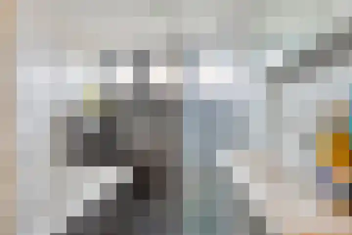 de Tijnagel 10 Alphen thumbnail 24
