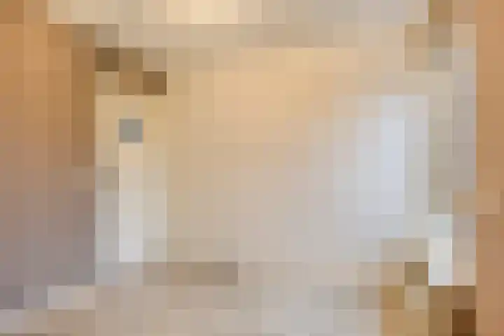 de Tijnagel 10 Alphen thumbnail 34