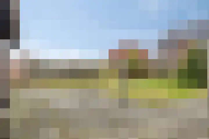 de Tijnagel 10 Alphen thumbnail 39