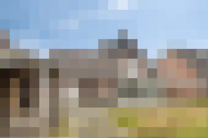 de Tijnagel 10 Alphen thumbnail 40