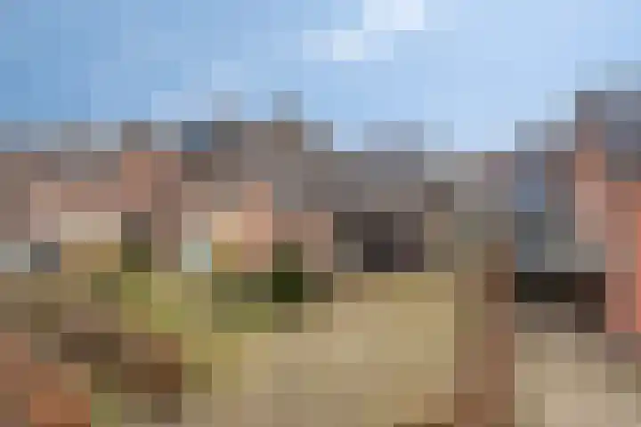 de Tijnagel 10 Alphen thumbnail 46