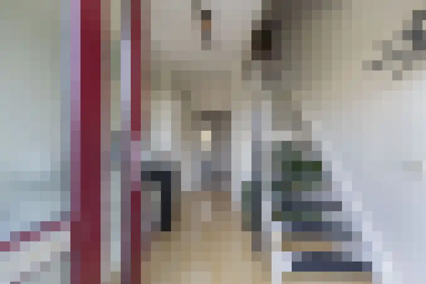 De Tilbarten 43 Goutum thumbnail 13