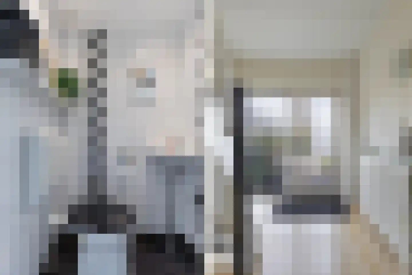 De Tilbarten 43 Goutum thumbnail 14