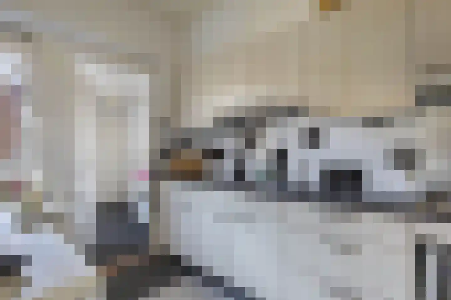 De Tilbarten 43 Goutum thumbnail 21