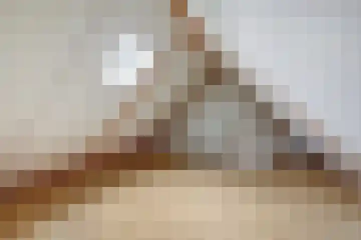 De Tilbarten 43 Goutum thumbnail 29