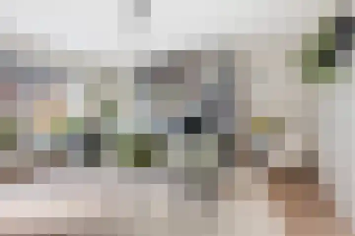 De Tilbarten 43 Goutum foto 3